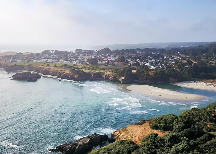 Mendocino Grove