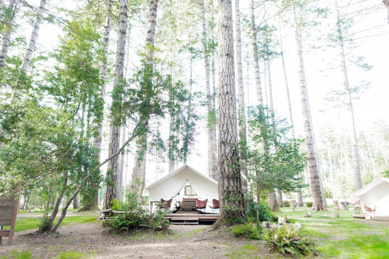 Luxury tent Grove 2*